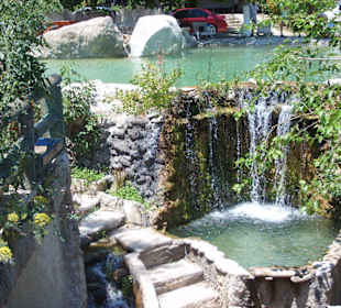 Unimog Quad Safari Side