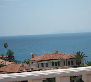 Ausblick auf Umgebung der Teeterrasse
