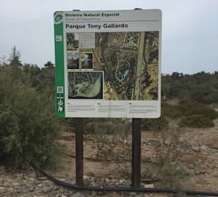 Tony Gallerdo Park vor Hotel