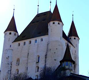 Старинный замок Туна