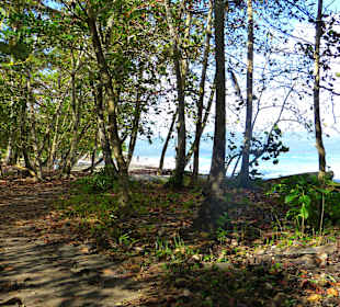 Weg zum La Playita Strand