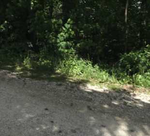 Burg Wäscherschloss