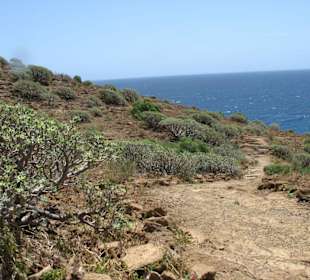 Amarilla Bucht