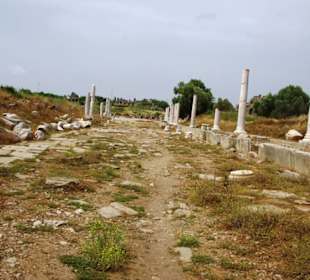 Muss der Weg gewesen sein