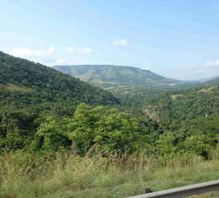 Krüger Nationalpark