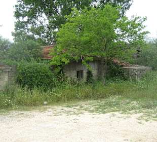 Ausflug Green Canyon