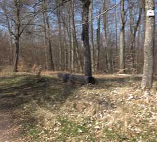 Geologischer Lehrpfad Kirnbachtal