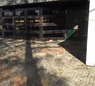 Friedhof Eutingen im Gäu