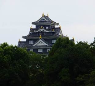 Widok z ogrodu na Zamek Okayama.