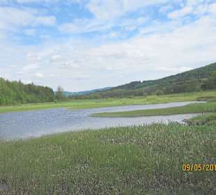 Rundwanderweg 1A  der Perlsee