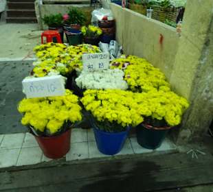 Flower Markt BKK, viele Blumen