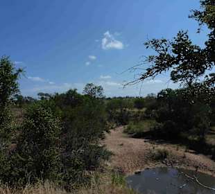 Krüger Nationalpark
