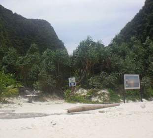 Phi Phi