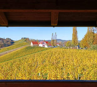 Aussichtswarte
