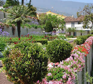 Botanischer Garten mit Teide
