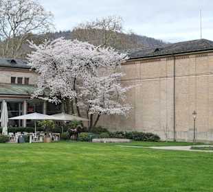 Bei einem Spaziergang durch Baden-Baden