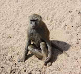 ZOOM Erlebniswelt Gelsenkirchen