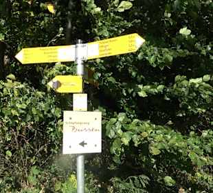 Bussen Schöpfungsweg Offingen