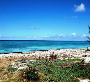 Im Bereich des National Parks