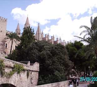 Blick vom Meerespark