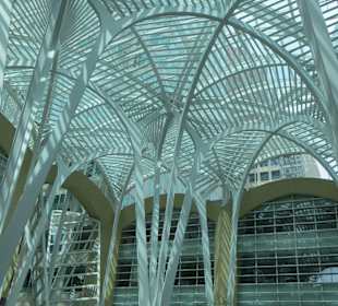 Stadtrundgang Toronto