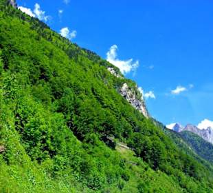 Plöckenpass 2010 die ganze Strecke