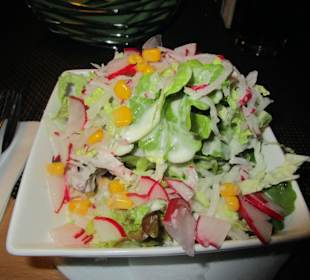 Bloqhaus Lachen-Speyerdorf