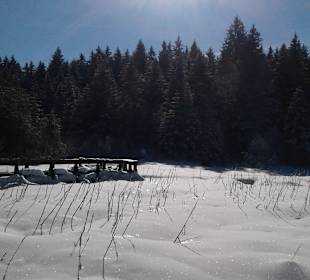 Naturpark Heidenreichsteiner Moor	