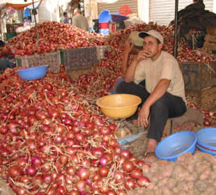 Der Zwiebelkönig im Souk