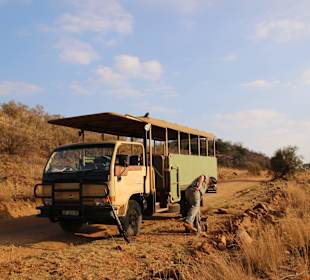 Typischer GameDrive-Transporter