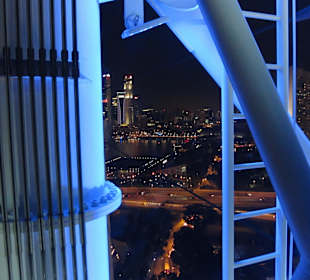 Singapore Flyer bei Nacht