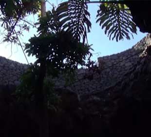 Fundacion Cesar Manrique