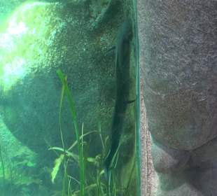 Zoologischer Stadtgarten