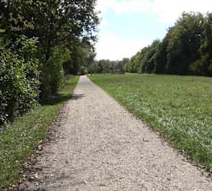Schaukelweg an der Donau
