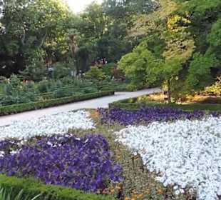 Real Jardín Botánico de Madrid