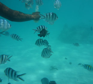 Tourguides Eddy Murphy