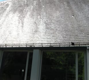 Friedhof Handschuhsheim