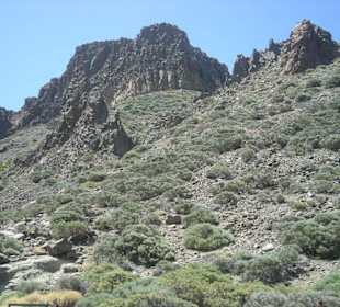 Park Teide