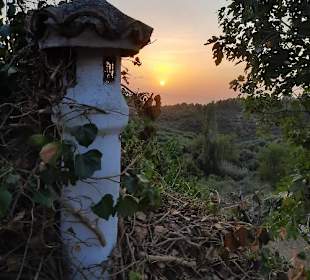 Wandern Sarti