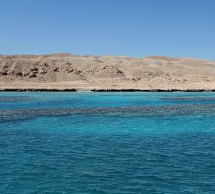 Schnorchel Boot´s Ausflug zu den Korallen