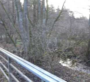 Schönbuch Schaichtal