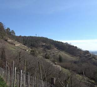 Hirschauer Spitzbergwegle (Premiumspazierwanderweg