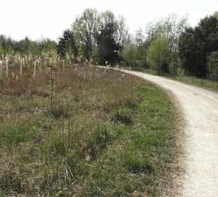 Wanderweg Firstwaldrunde