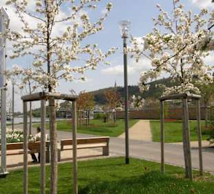 Landesgartenschau Bingen 2008