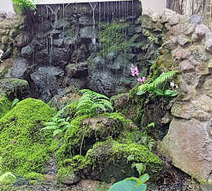 Schmetterlingsgarten