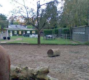 Pferde und Vogelvolieren