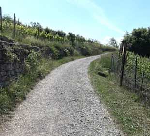 Früchtetrauf - Wurmlinger Kapellenwegle