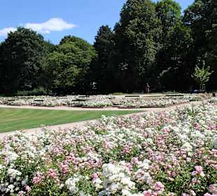 Łazienki królewskie, park