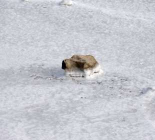 Impressionen von den Salzflächen