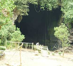 Eingan zum Gomantong Höhlensystem